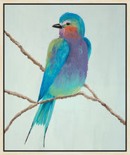 Load image into Gallery viewer, BELLISSIMO UCCELLO 1