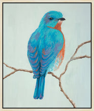 Load image into Gallery viewer, BELLISSIMO UCCELLO 3