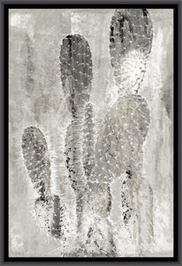 BLACK SAND CACTI 2