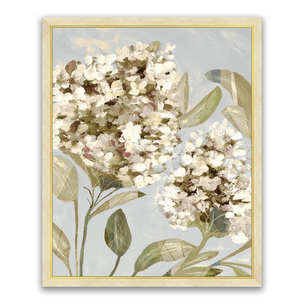 HYDRANGEA HARMONY 1