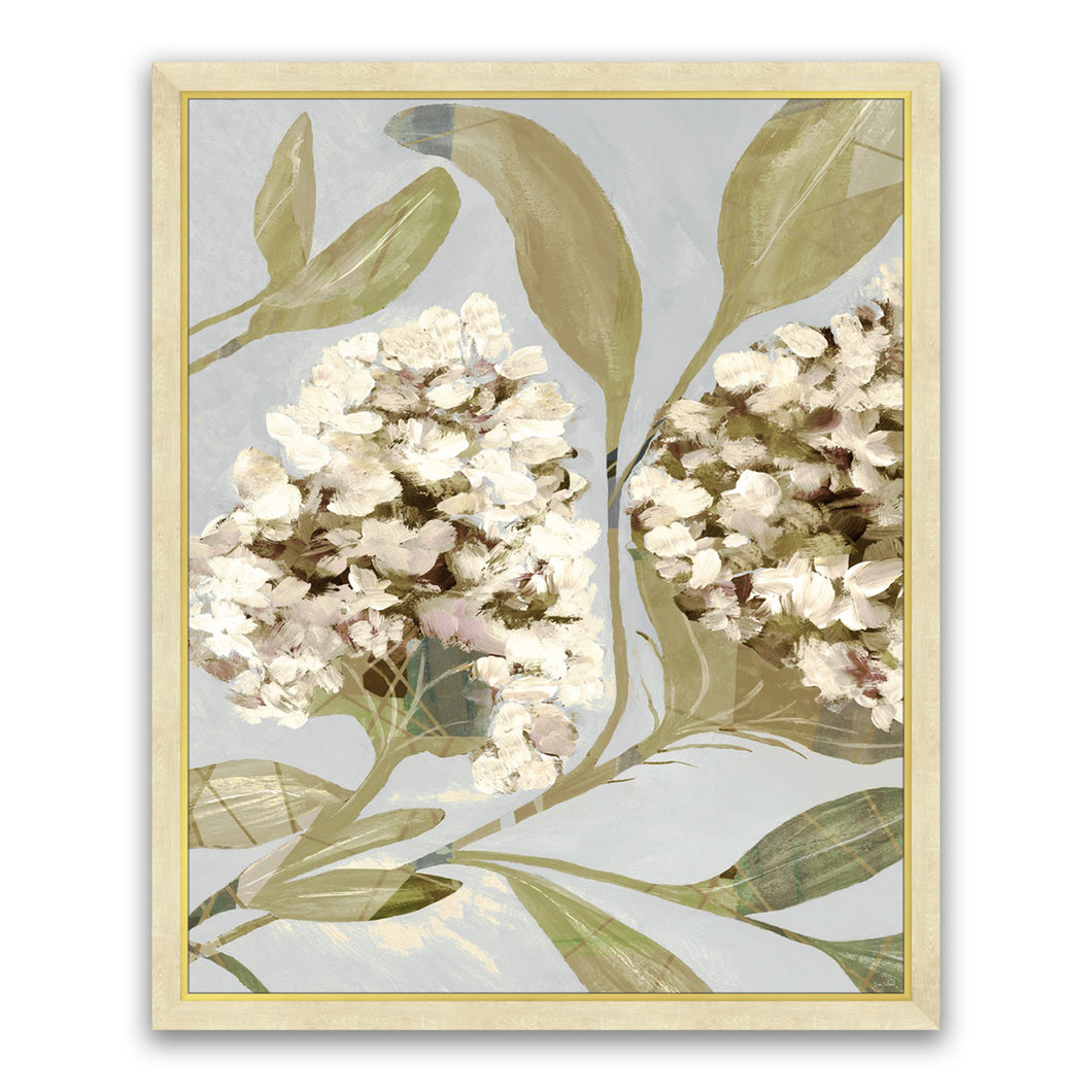 HYDRANGEA HARMONY 2