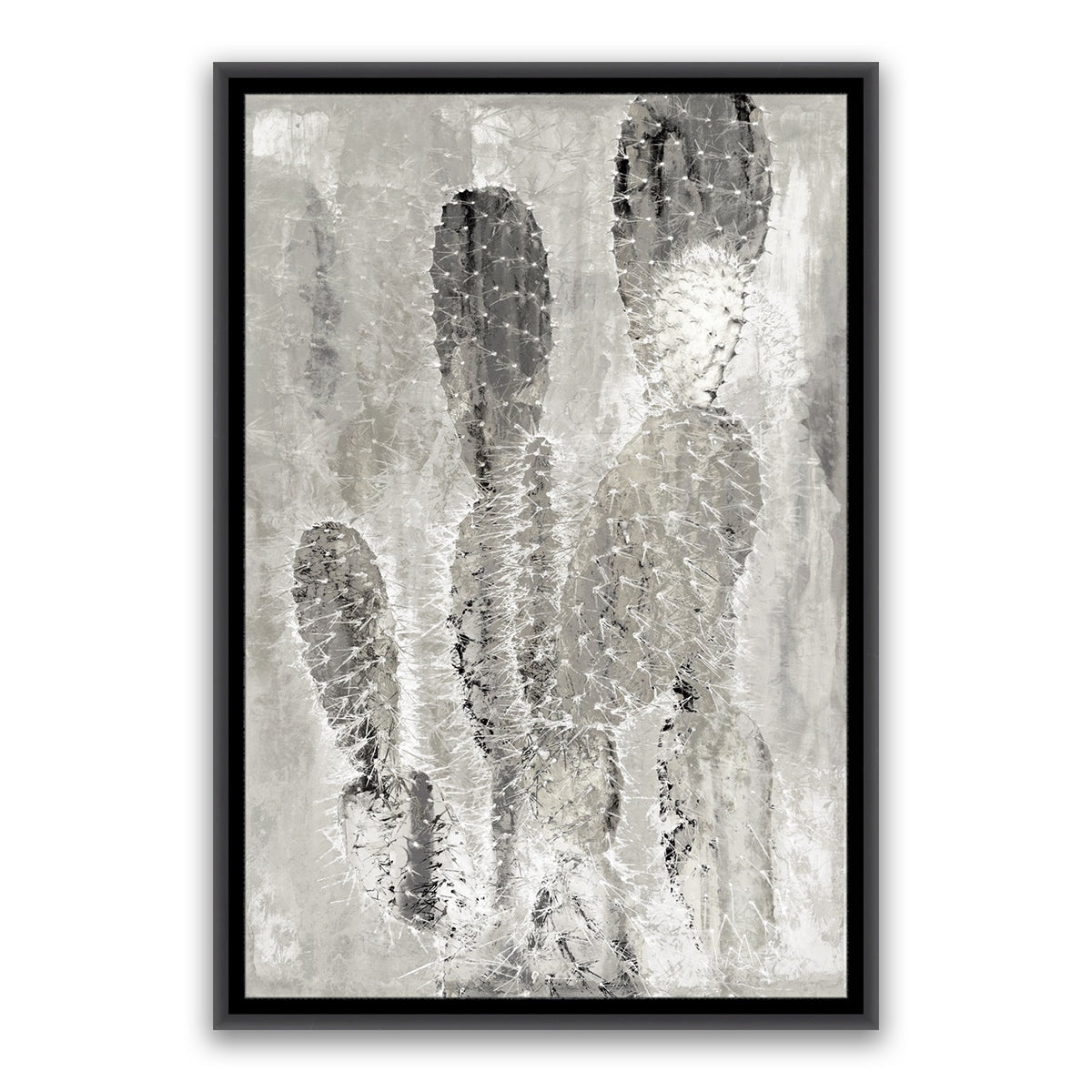 BLACK SAND CACTI 2